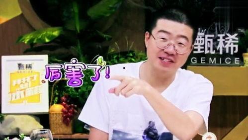 何炅老家爆料视频大全集,揭秘明星背后的温馨故事